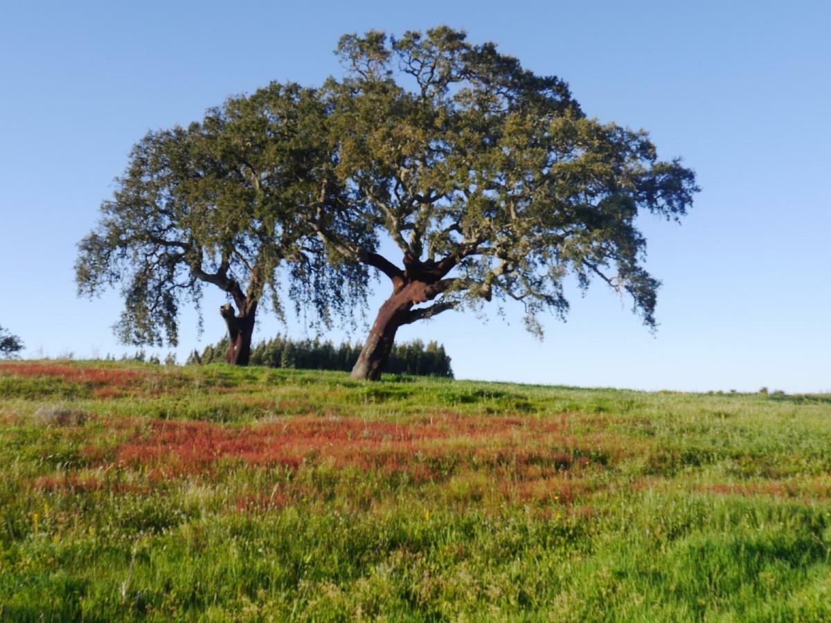 הוילה Boavista dos Pinheiros Rural House מראה חיצוני תמונה